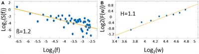 Fractal Analysis of BOLD Time Series in a Network Associated With Waiting Impulsivity